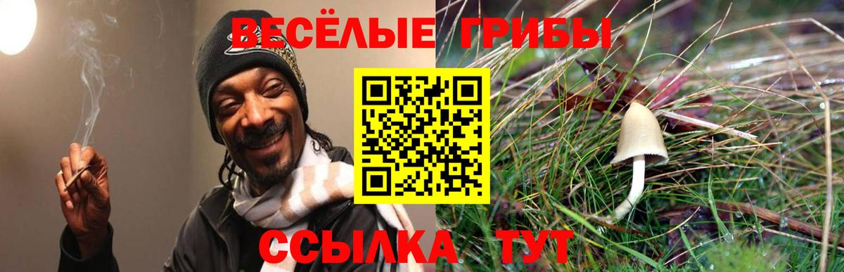 где продают   Псилоцибиновые грибы мицелий  Вход с VPN  Каменск-Уральский 